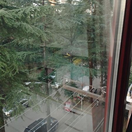 Apartment Ge Zvezda باتومي المظهر الخارجي الصورة